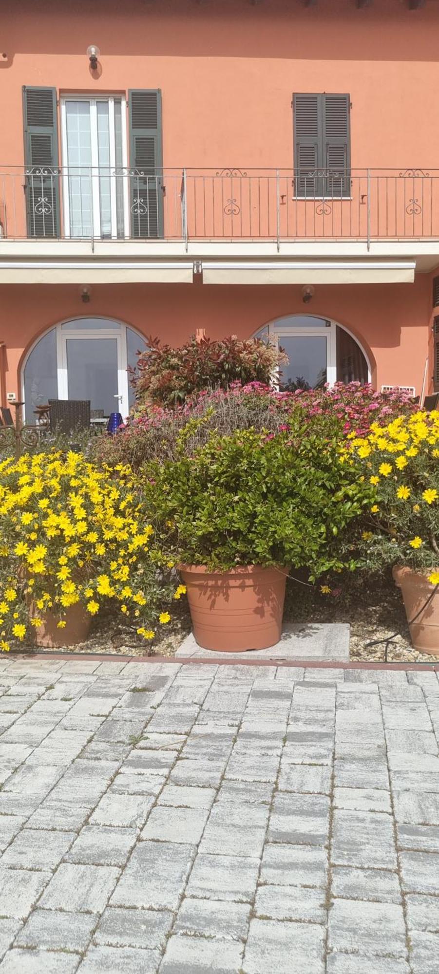 Agriturismo La Tuffatrice インペリア エクステリア 写真
